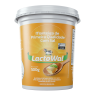 Manteiga Lactowal 500g