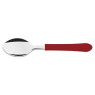 Colher Tramontina Churrasco Leme Cores