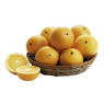 Laranja Bahia KG