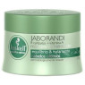 Mascara Capilar Haskell 250ML Jaborandi