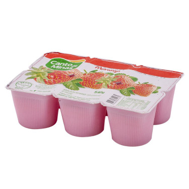 Bebida Lactea Canto de Minas 540g Morango