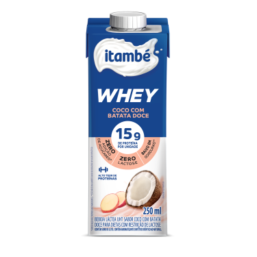 Bebida Lactea Whey Cocoitambe 250ml