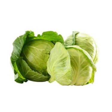 Repolho Verde KG