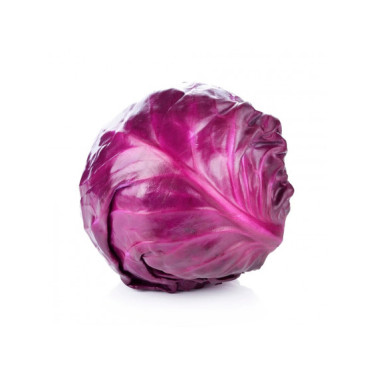 Repolho Roxo KG