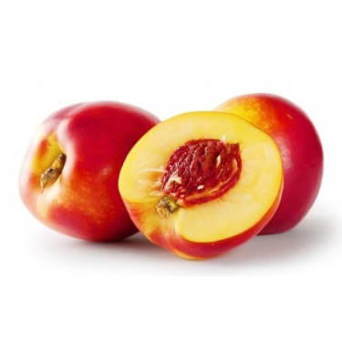 Nectarina KG