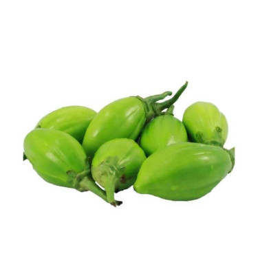 Jiló KG