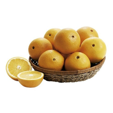 Laranja Bahia KG