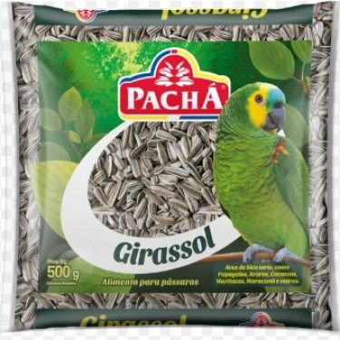 Semente Pacha Girassol 500G
