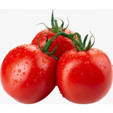 Tomate Longa Vida KG